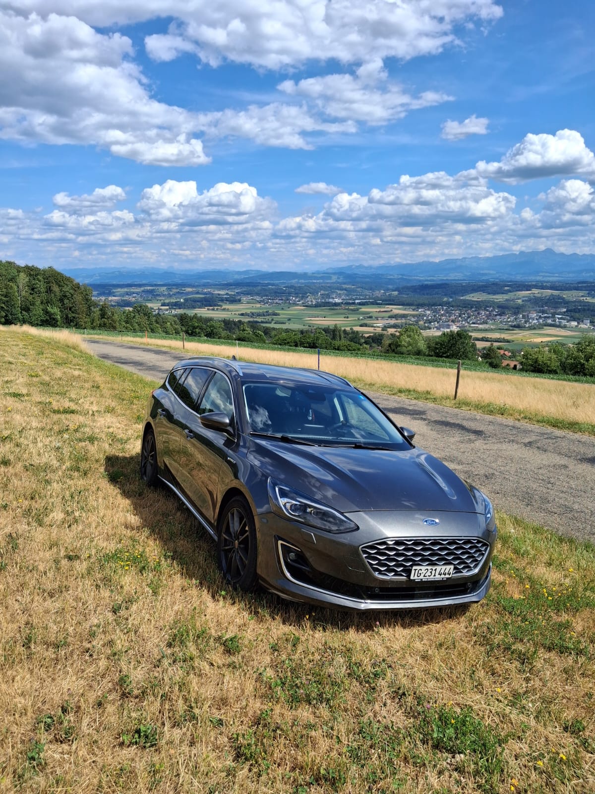FORD 2.0 EcoBlue 150 Vignale-image-3
