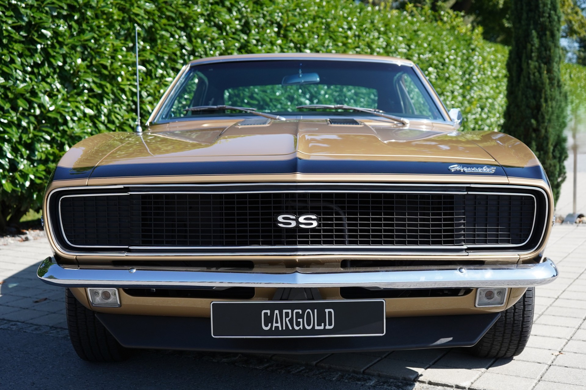 CHEVROLET Camaro 350 RS/SS-image-4