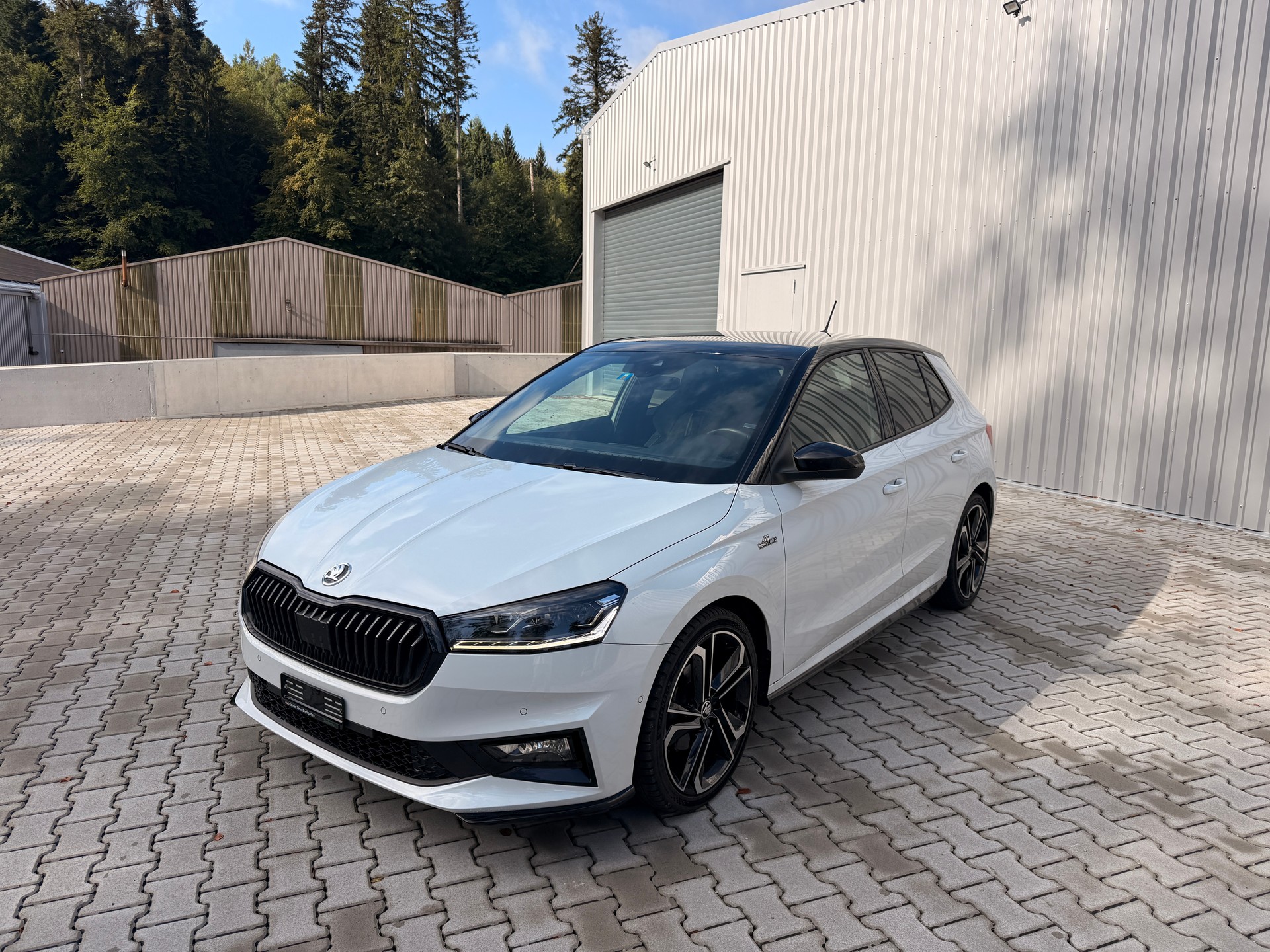 SKODA Fabia 1.0 TSI Monte Carlo DSG-showroom-element-1
