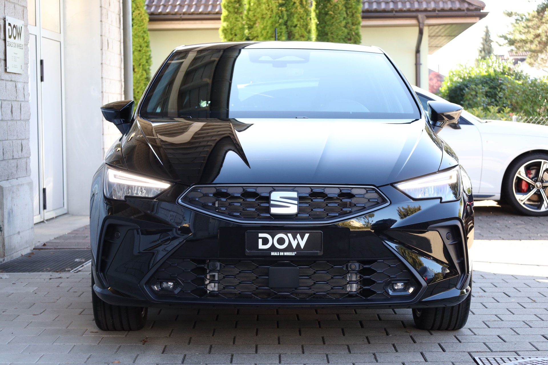 SEAT Ibiza 1.0 TSI 115 FR DSG-image-5