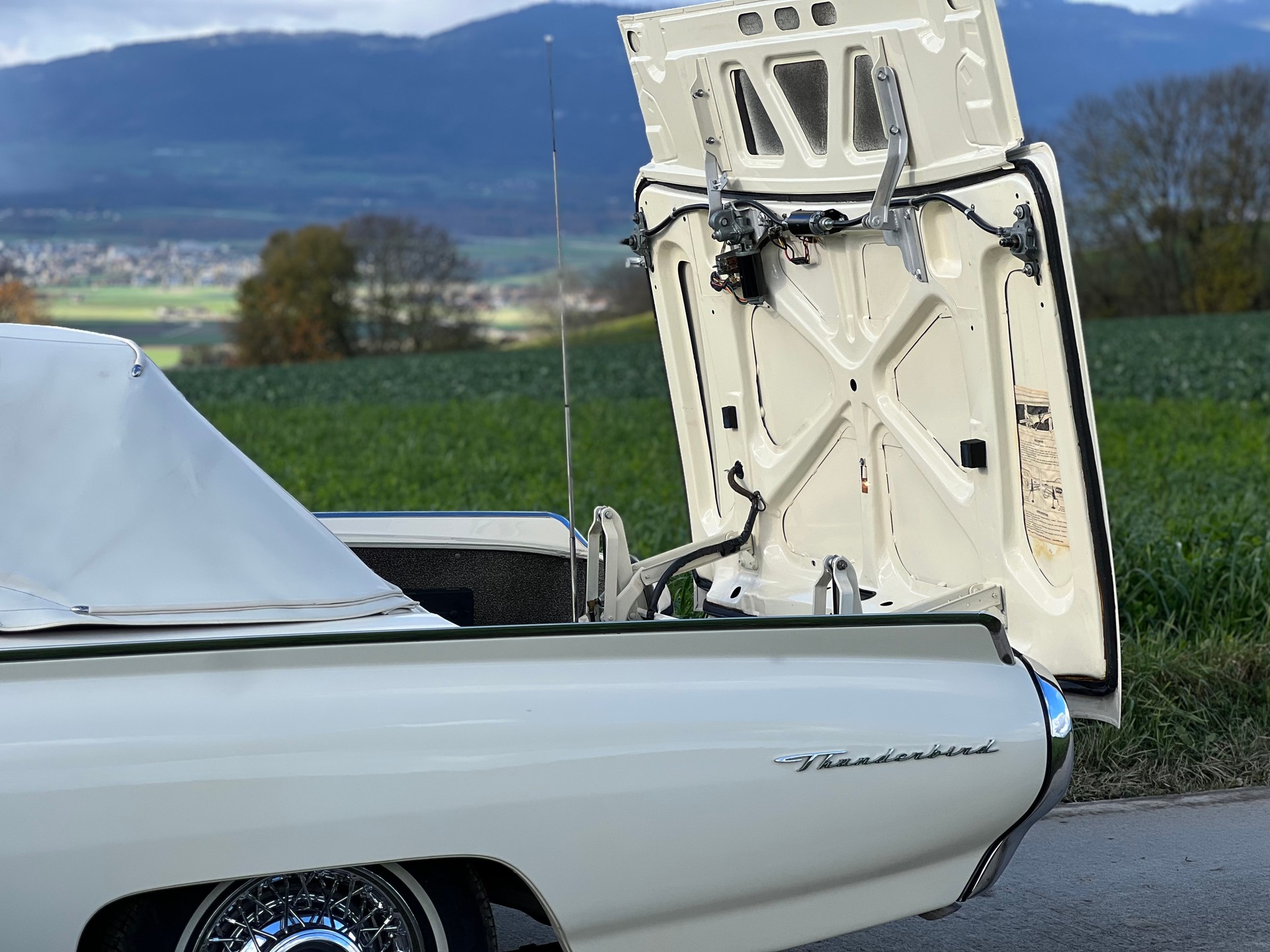 FORD Roadster-image-6
