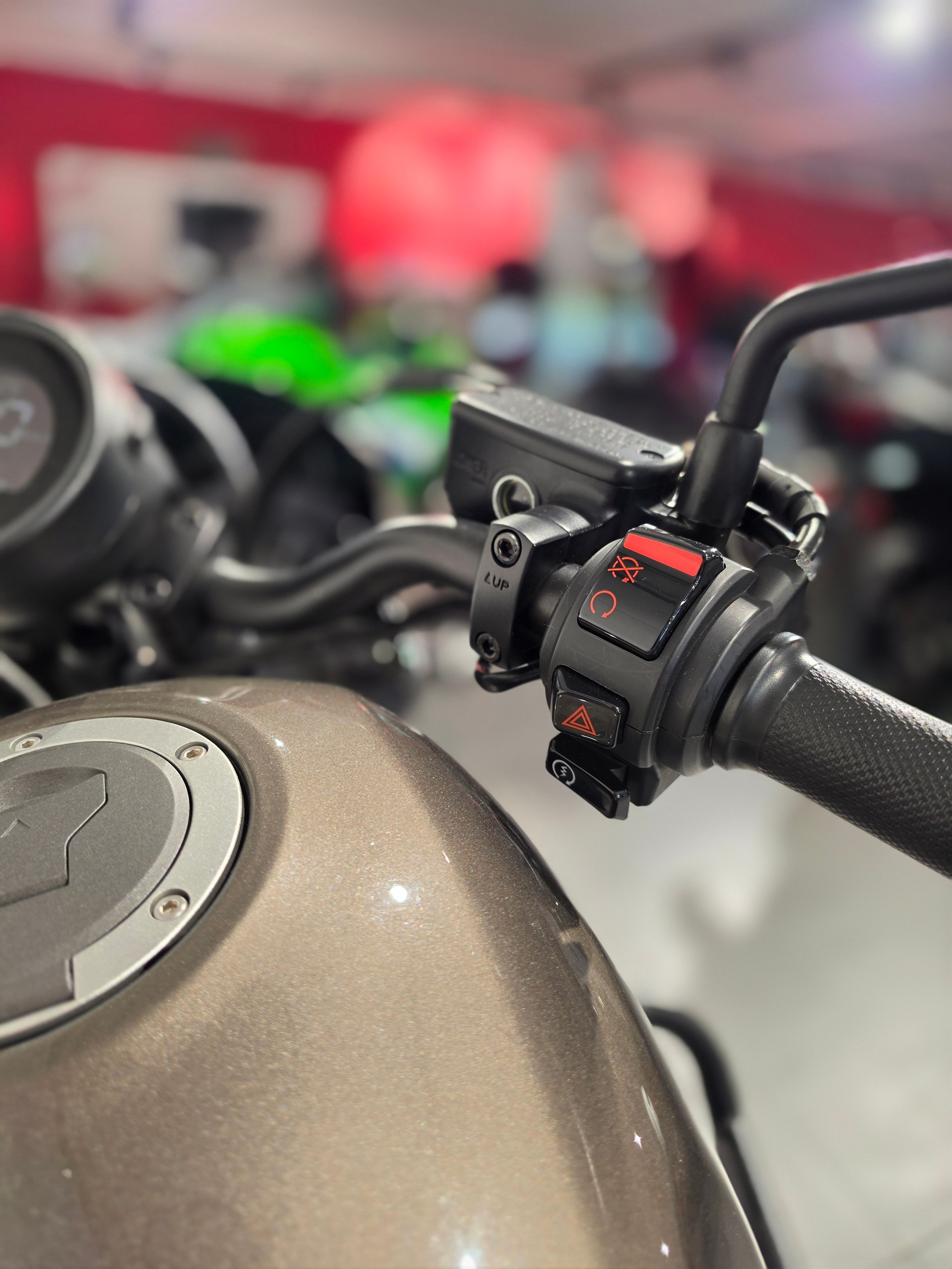 HONDA CMX500 SE Rebel S Edition-image-14