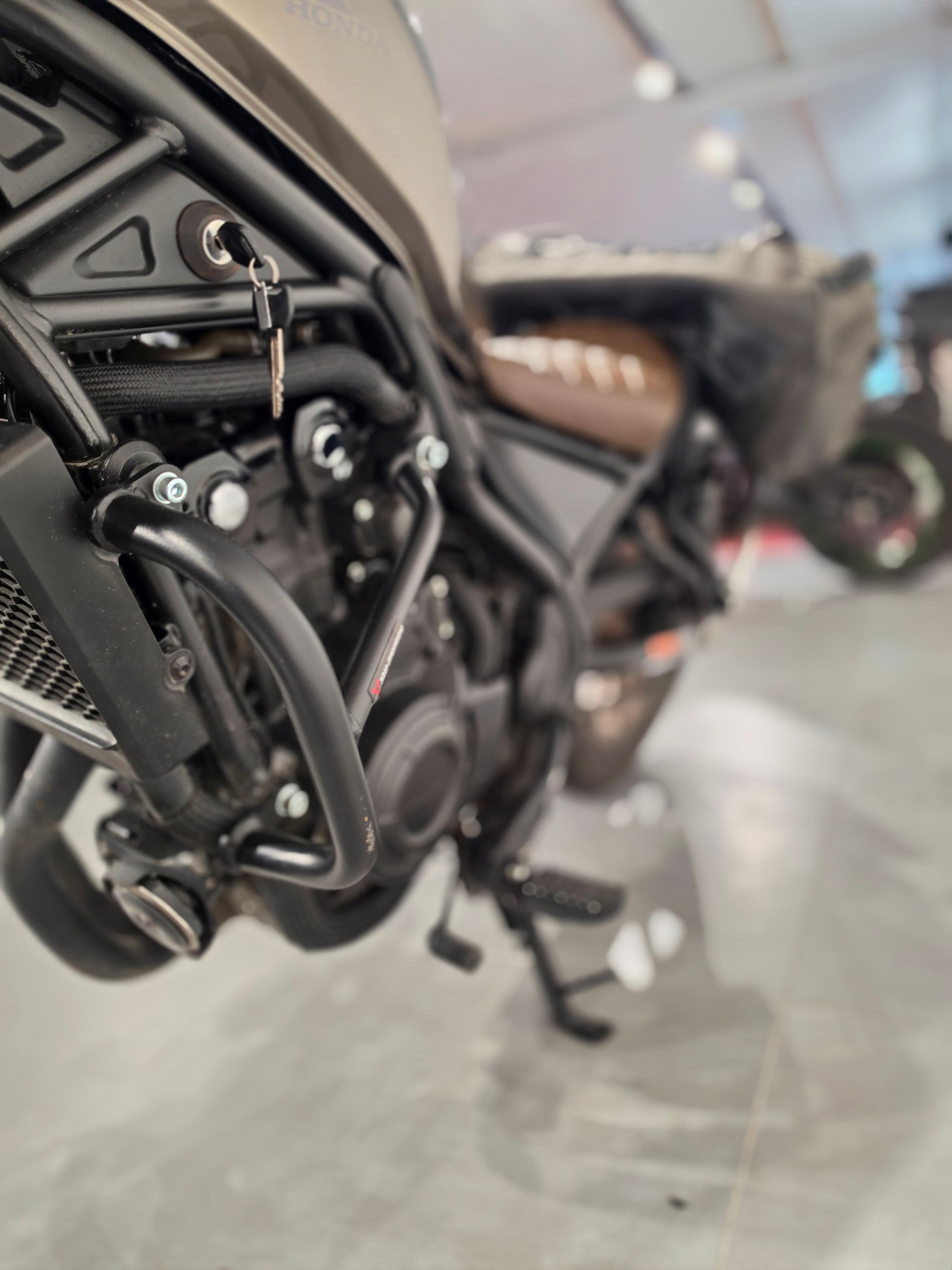 HONDA CMX500 SE Rebel S Edition-image-7