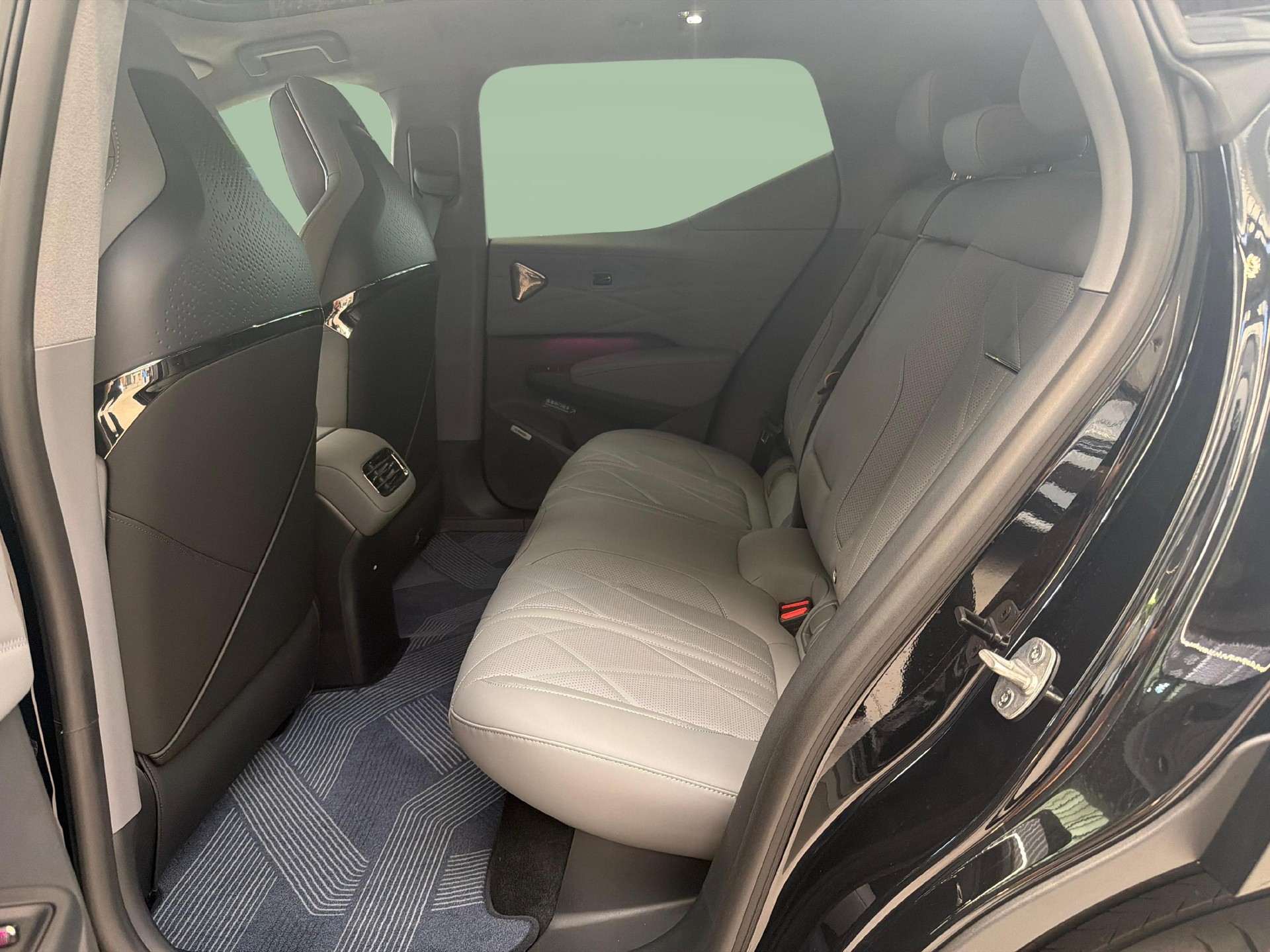 ZEEKR X Privilege AWD-image-10