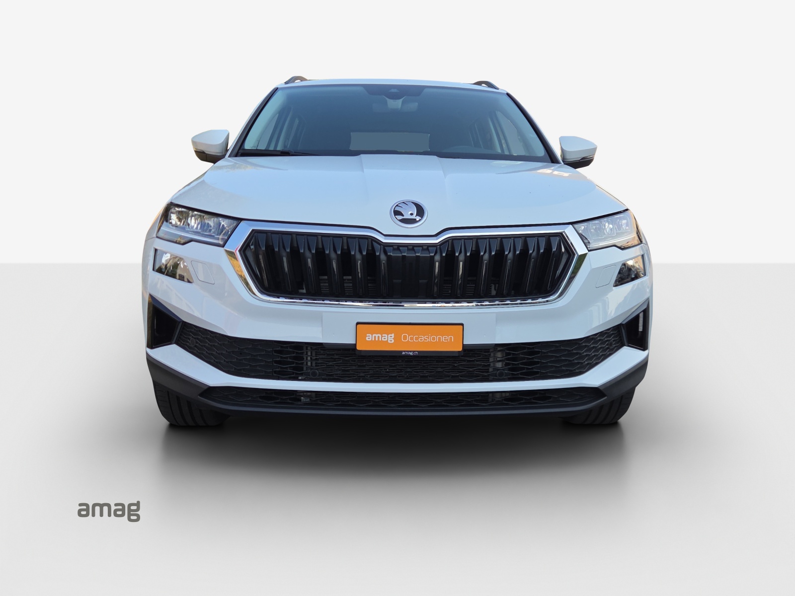 SKODA Karoq 2.0 TDI CR Selection 4x4 DSG-image-6