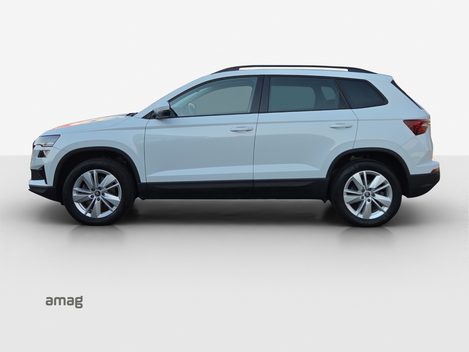 SKODA Karoq 2.0 TDI CR Selection 4x4 DSG-image-1