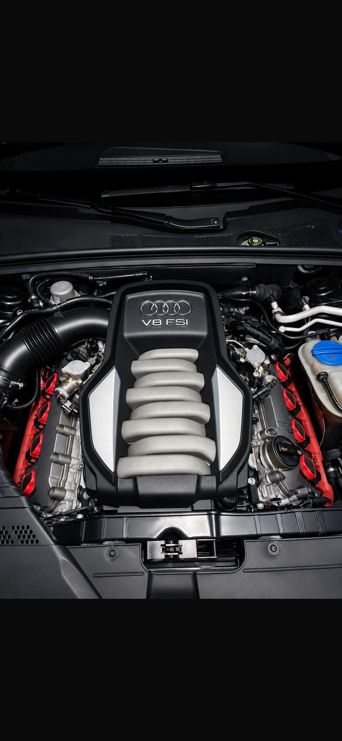 AUDI 4.2 V8 FSI quattro T-Tronic-image-4
