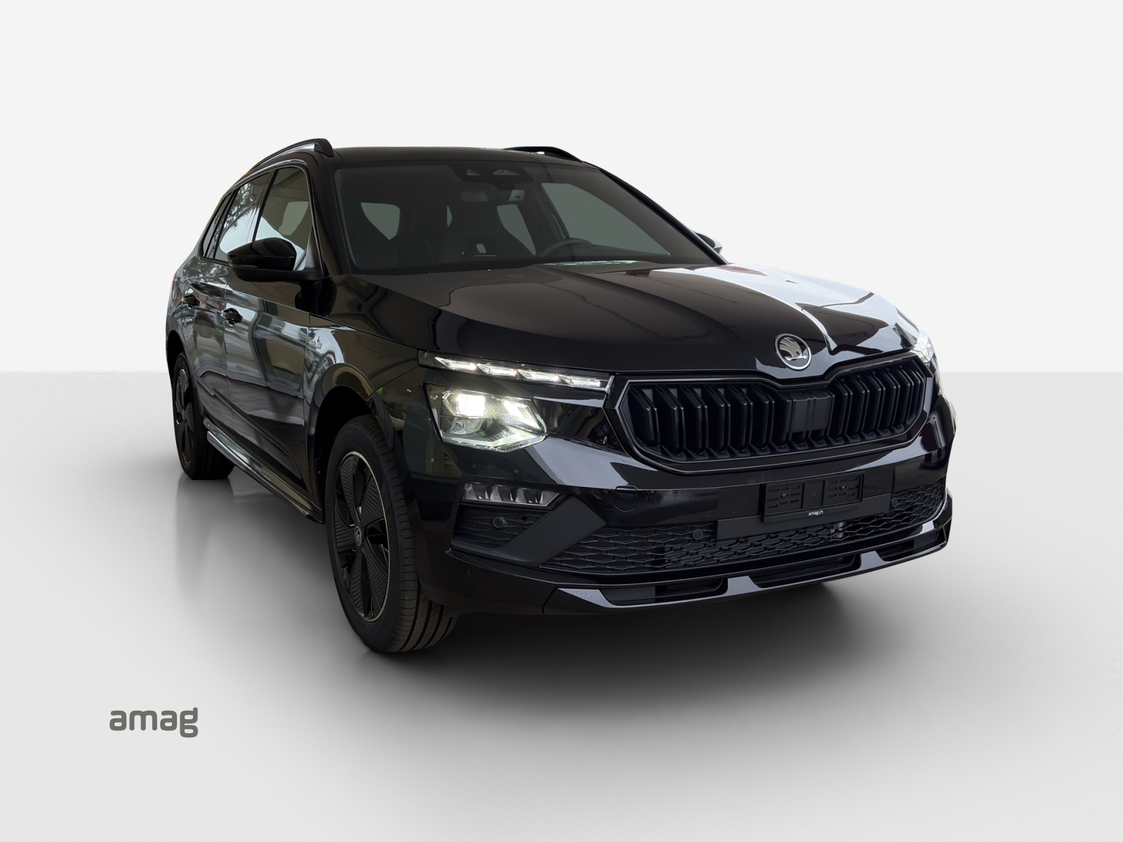 SKODA Kamiq 1.0 TSI Monte Carlo DSG-image-5