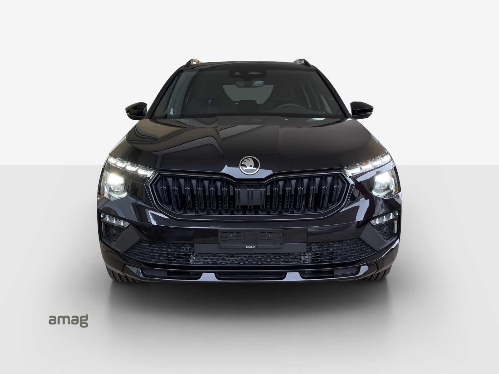 SKODA Kamiq 1.0 TSI Monte Carlo DSG-image-6