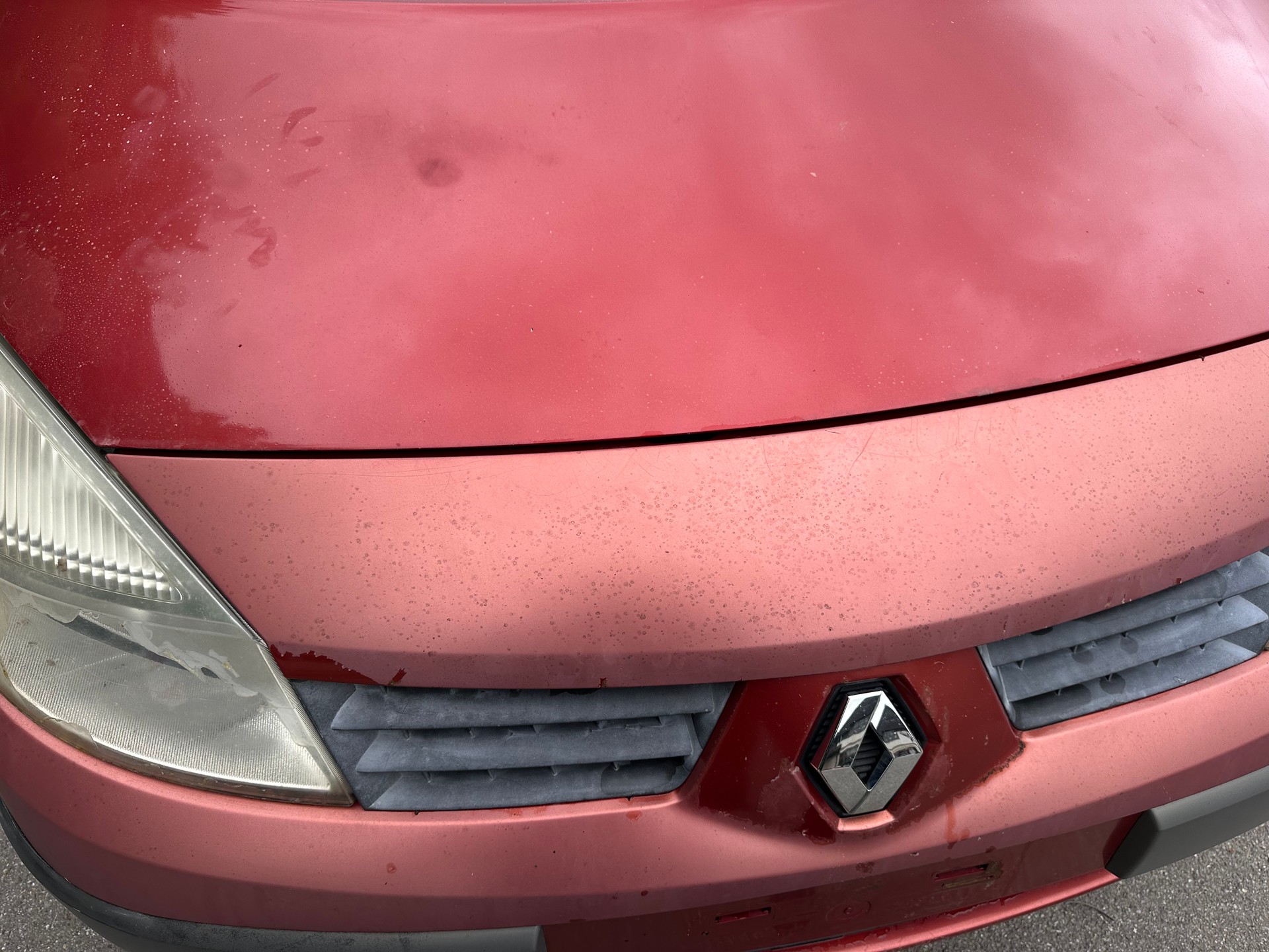 RENAULT Scénic 2.0 16V Dynamique FIXPREIS-image-4
