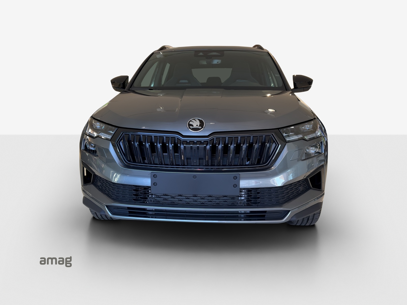 SKODA Karoq 2.0 TDI CR Sport Line 4x4 DSG-image-6