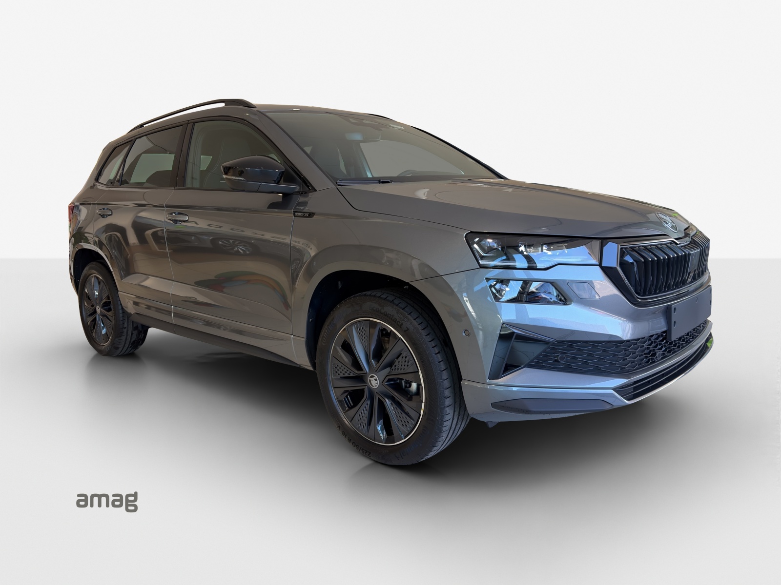 SKODA Karoq 2.0 TDI CR Sport Line 4x4 DSG-image-5