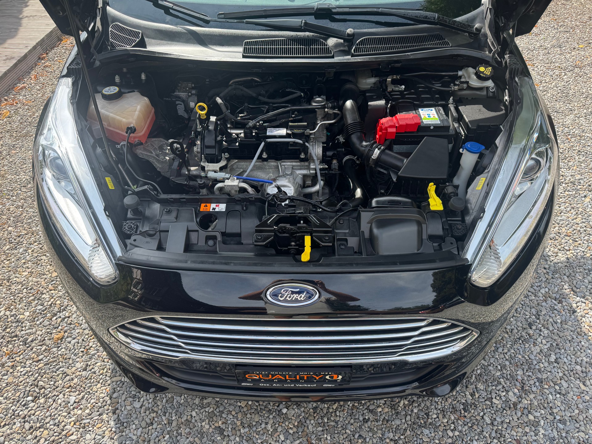 FORD Fiesta 1.0 Freetech-image-14