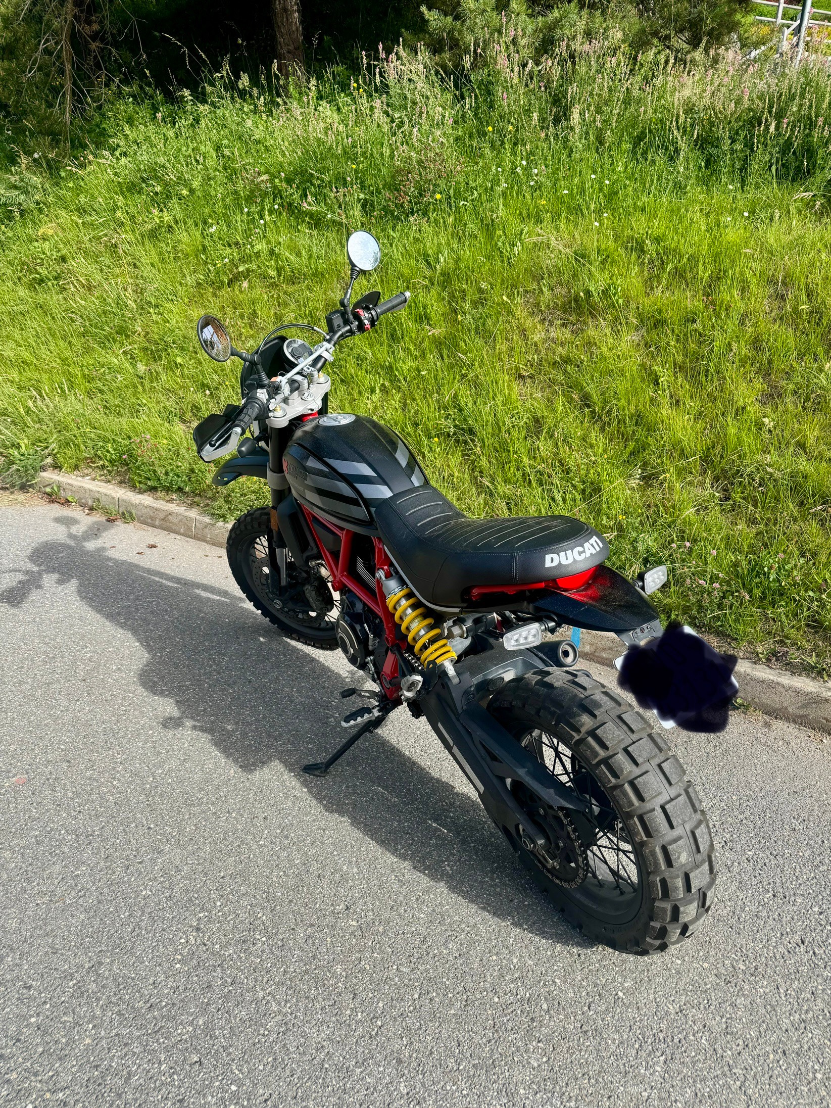 DUCATI Scrambler 803 Desert Sled-image-1
