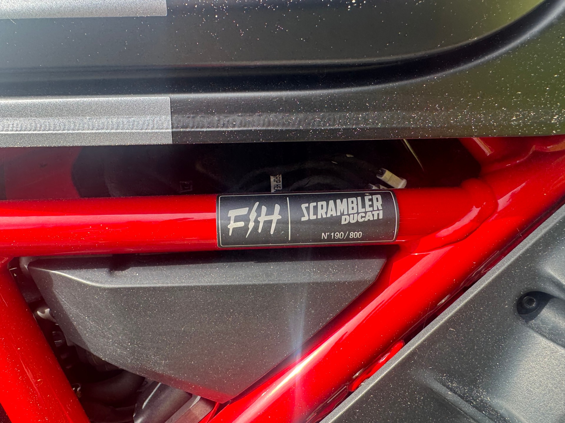 DUCATI Scrambler 803 Desert Sled-image-3