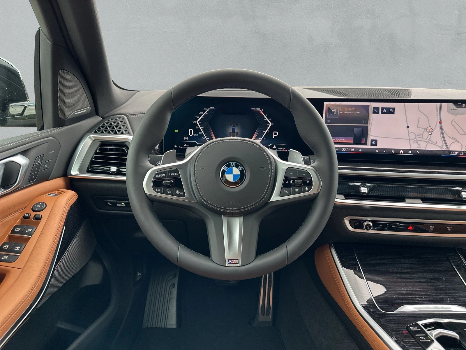 BMW X5 xDrive 48V 30d M Sport Pro Steptronic-image-16