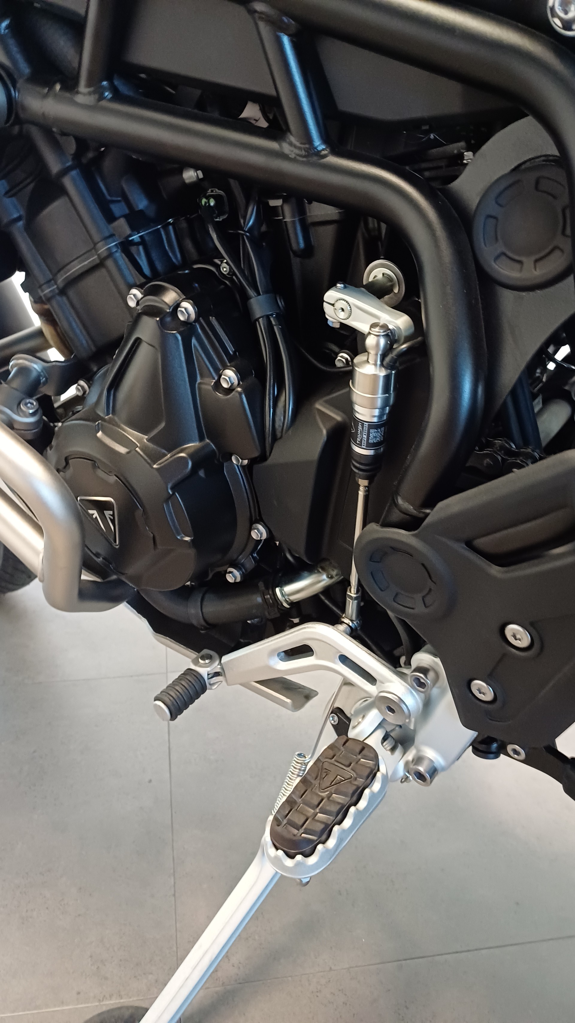 TRIUMPH Tiger 900 Desert Edition " Offre spécial : Valises latérales offertes "-image-8