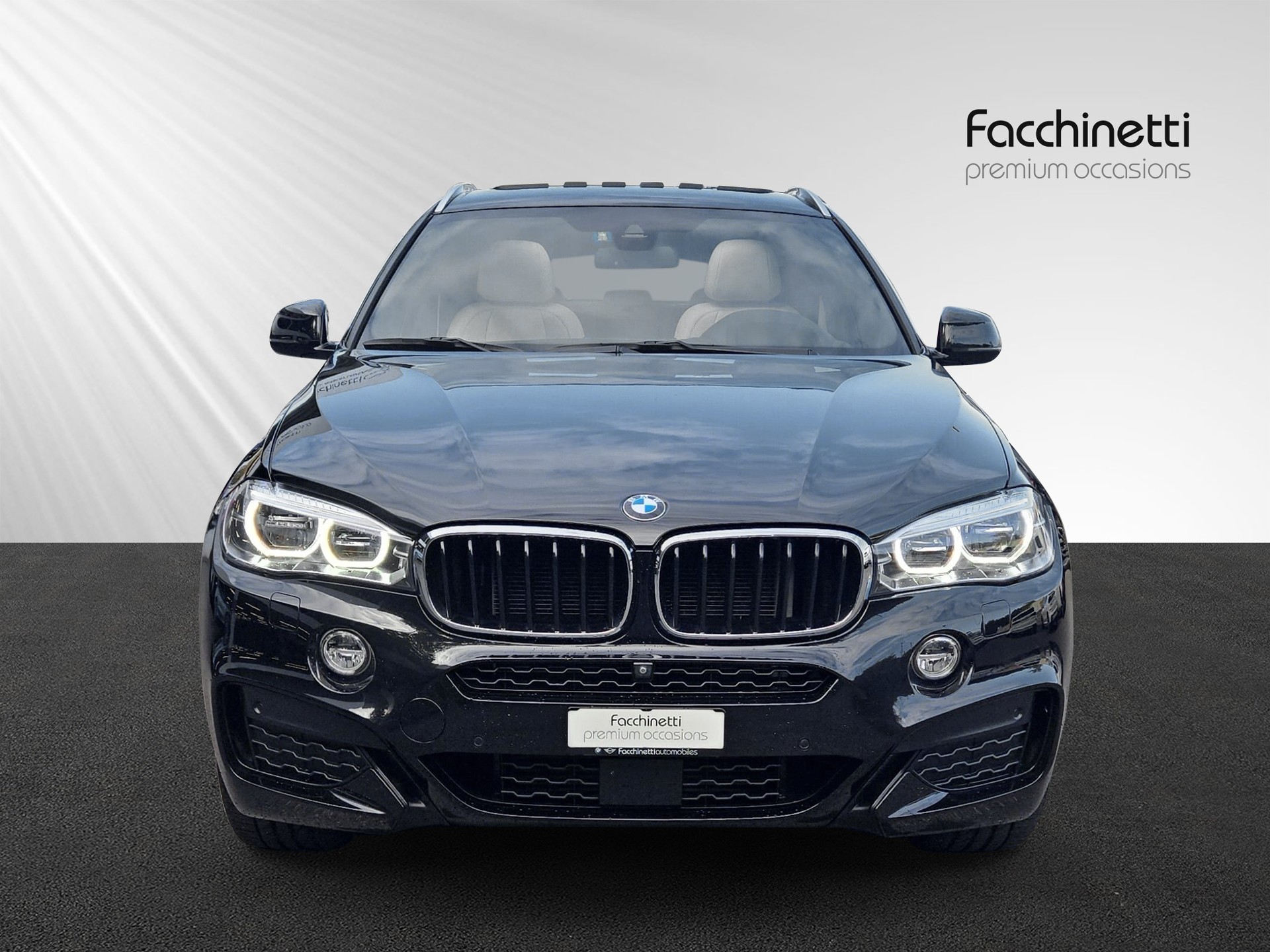 BMW X6 xDrive 30d M Sport Steptronic-image-7