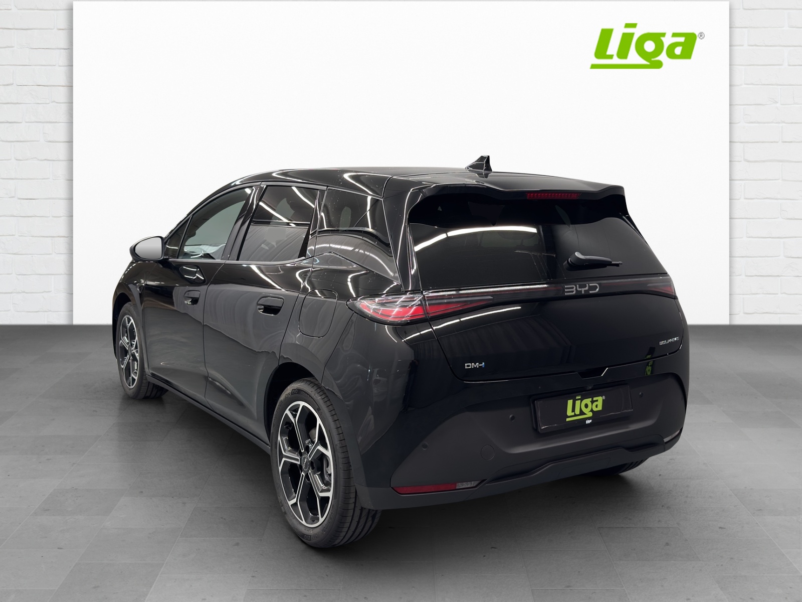 BYD Dolphin G DM-i Comfort-showroom-element-3