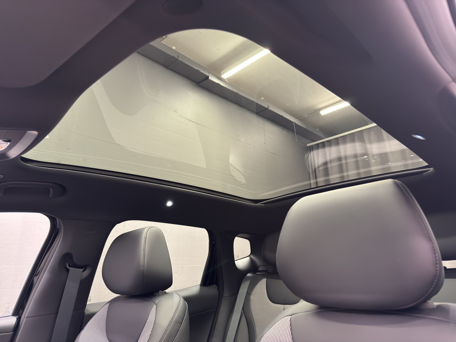 BYD Dolphin G DM-i Comfort-image-13