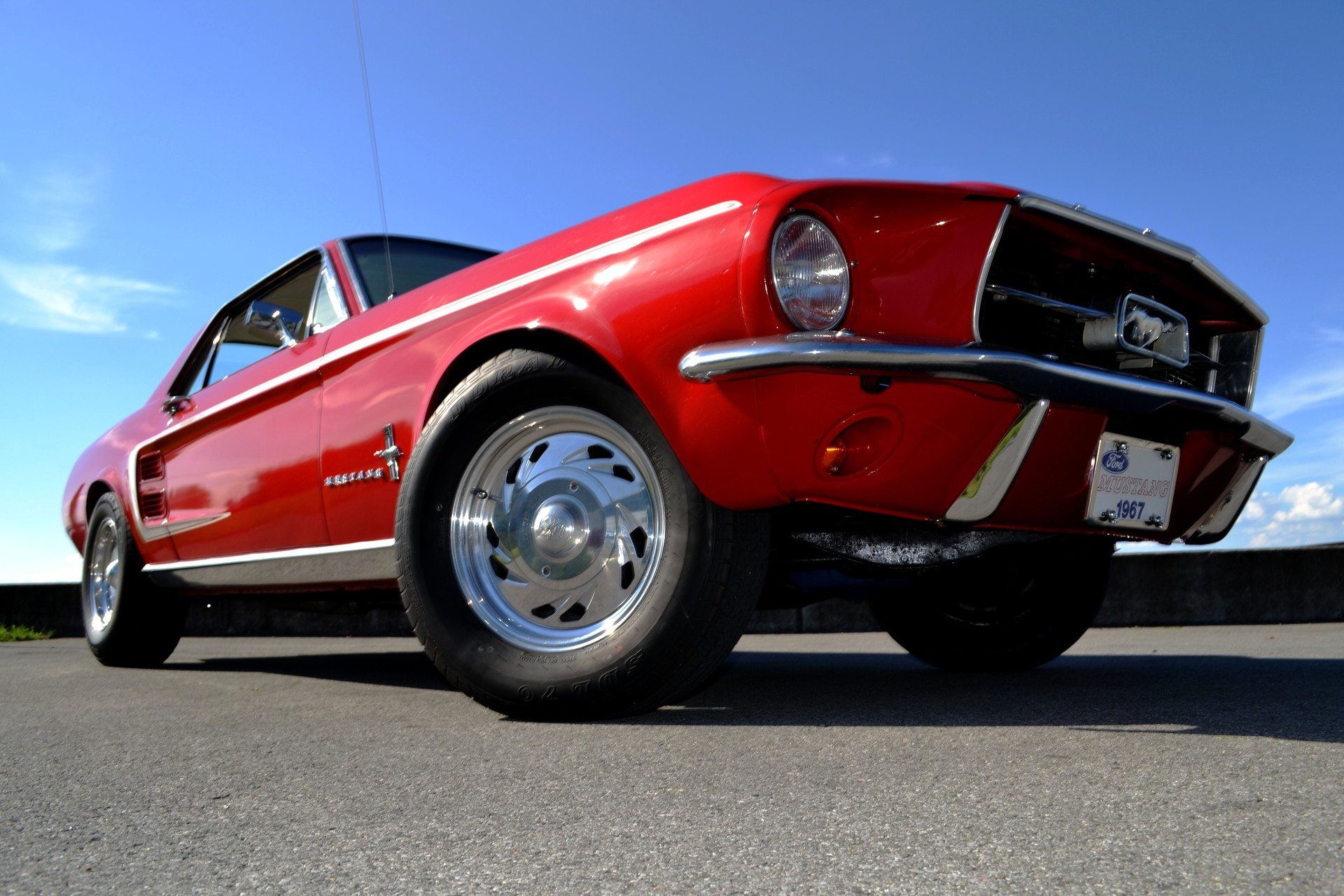 FORD MUSTANG-image-0
