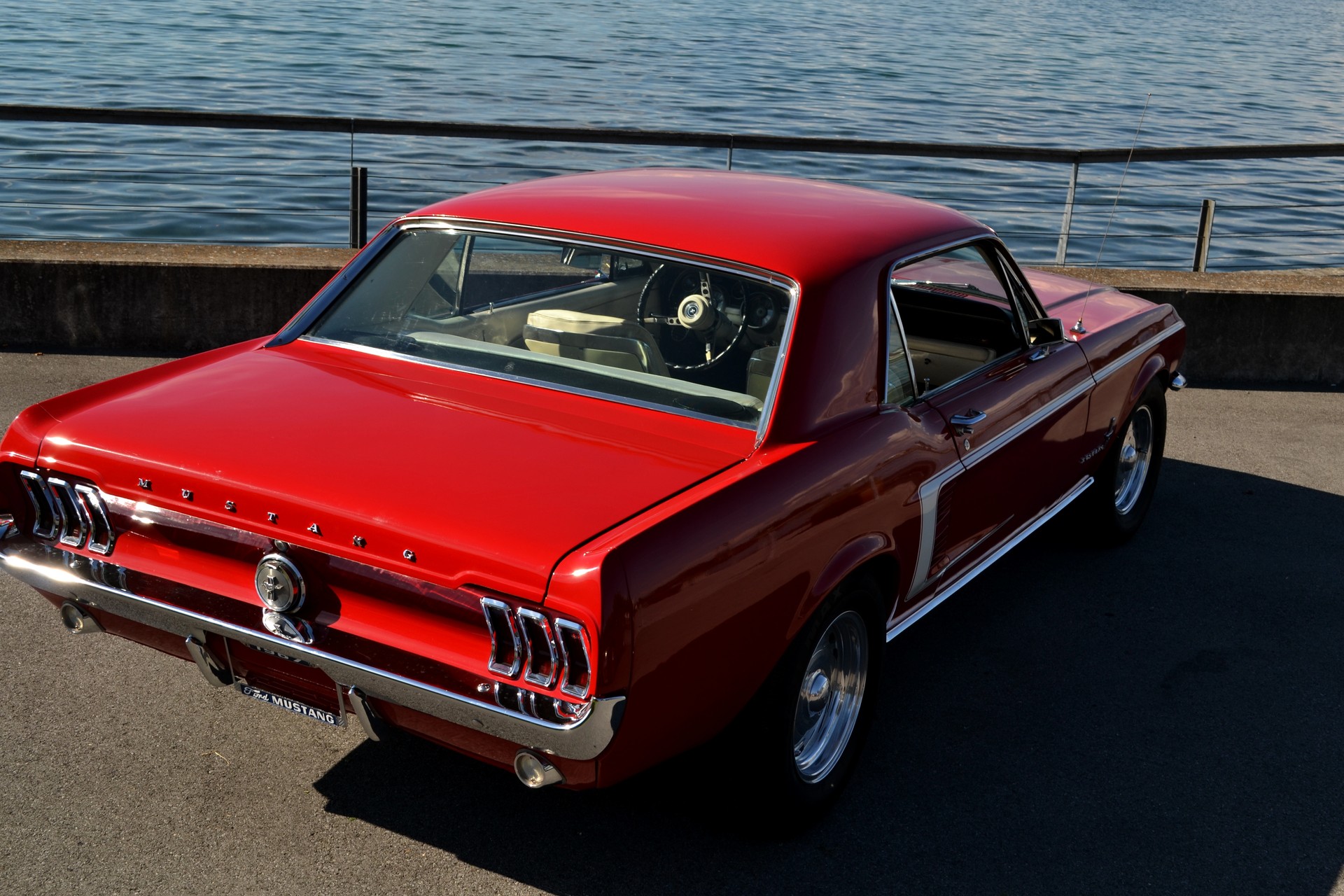 FORD MUSTANG-image-1