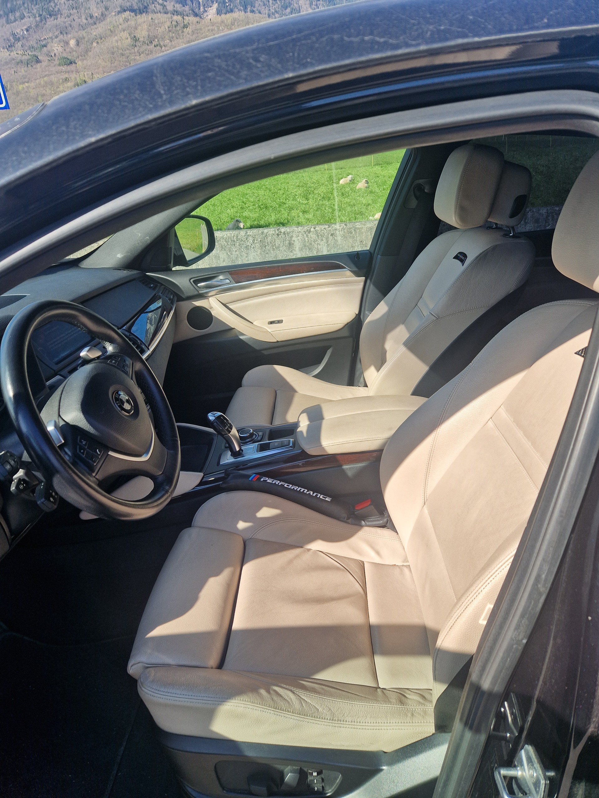 BMW X6 xDrive 40d Steptronic-image-7