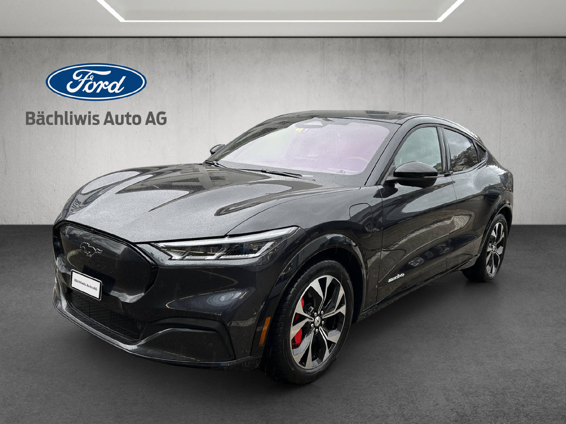 FORD Mustang Mach-E Standard AWD-image-0