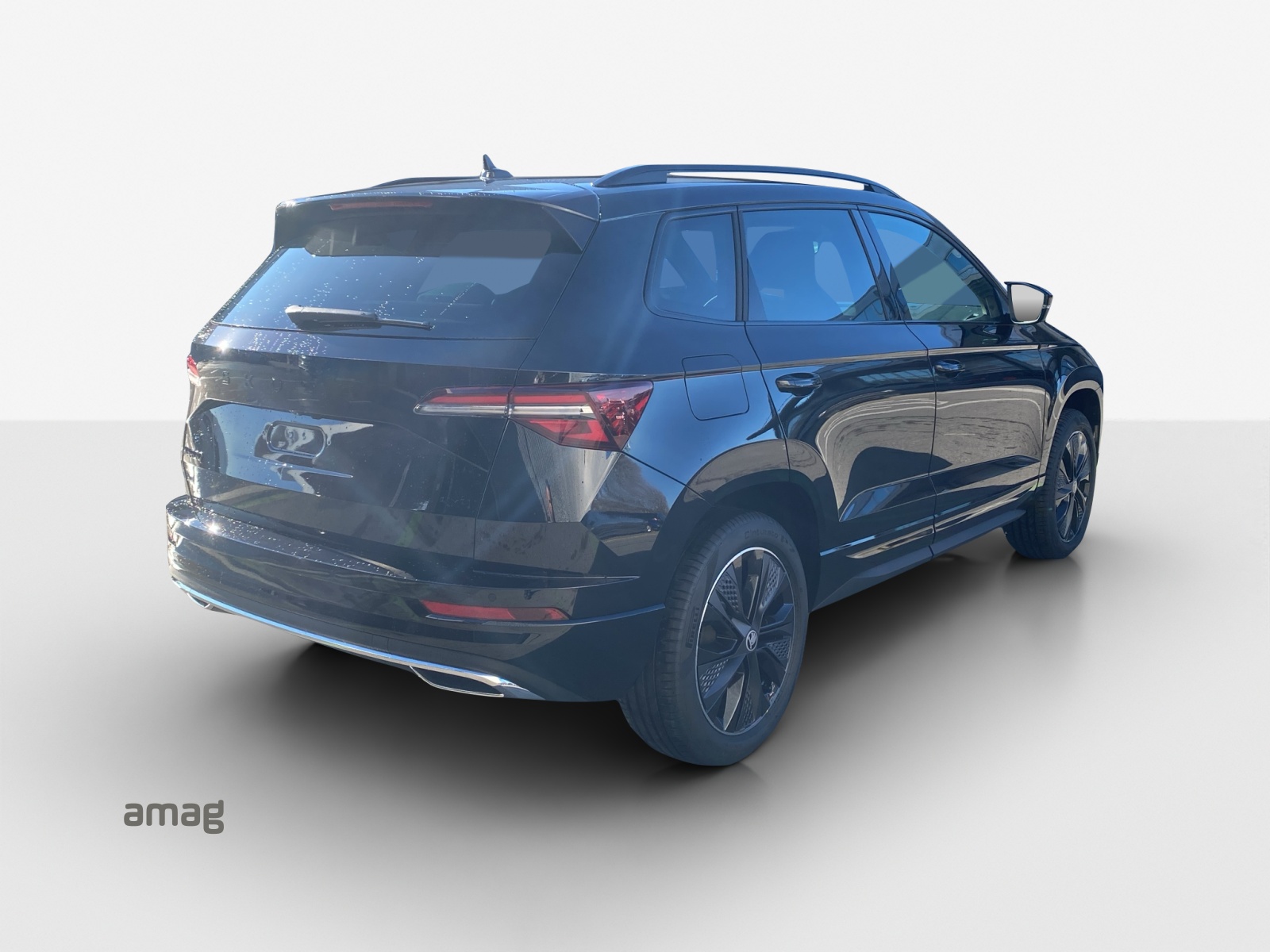 SKODA Karoq 2.0 TSI Dynamic Limited Edition 4x4 DSG-image-4