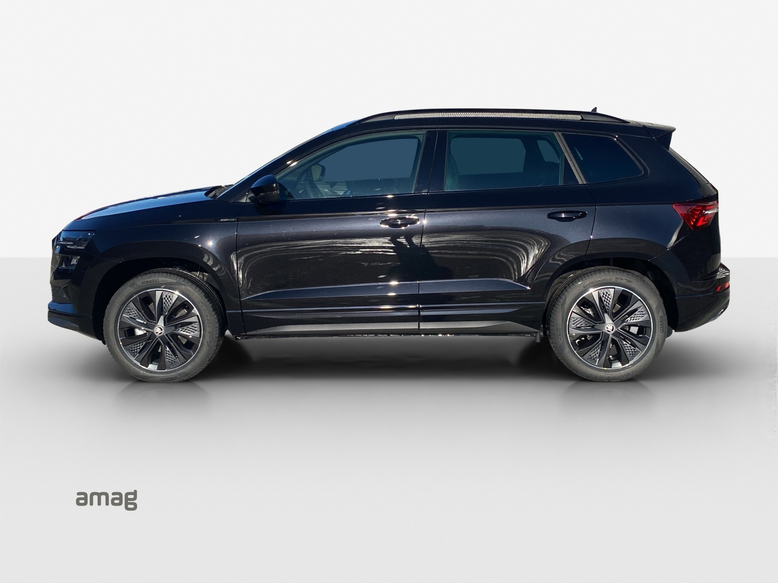 SKODA Karoq 2.0 TSI Dynamic Limited Edition 4x4 DSG-image-1