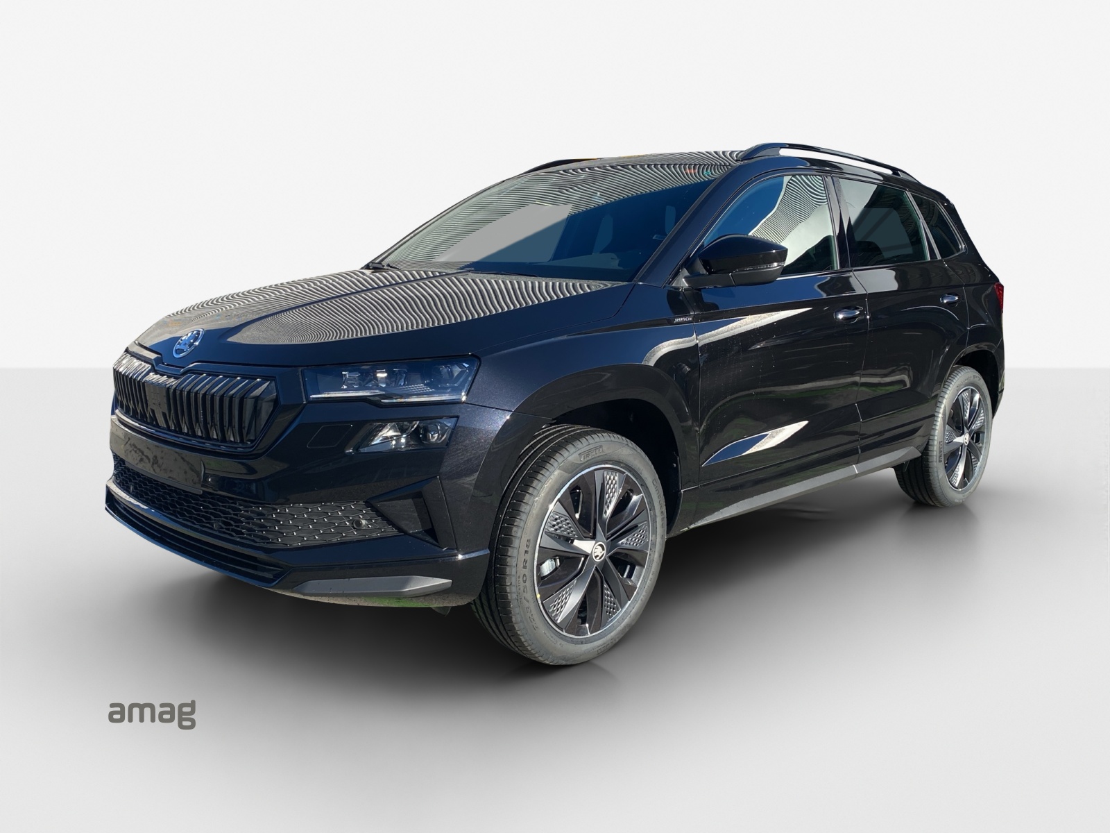 SKODA Karoq 2.0 TSI Dynamic Limited Edition 4x4 DSG-image-0