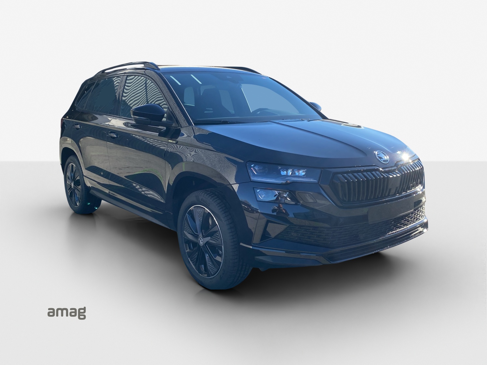 SKODA Karoq 2.0 TSI Dynamic Limited Edition 4x4 DSG-image-5