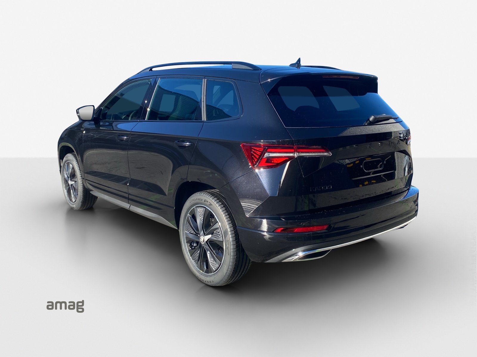 SKODA Karoq 2.0 TSI Dynamic Limited Edition 4x4 DSG-image-2