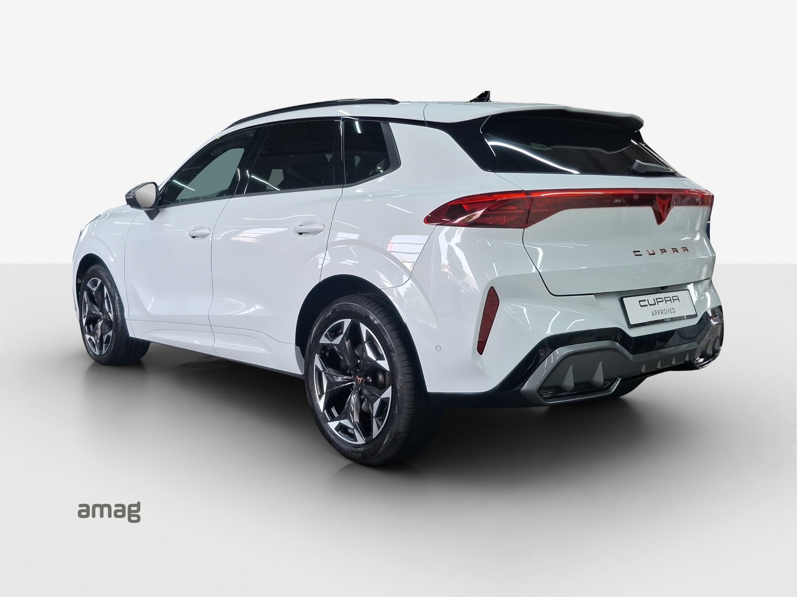 CUPRA Terramar 2.0 TSI DSG 4Drive VZ-image-2
