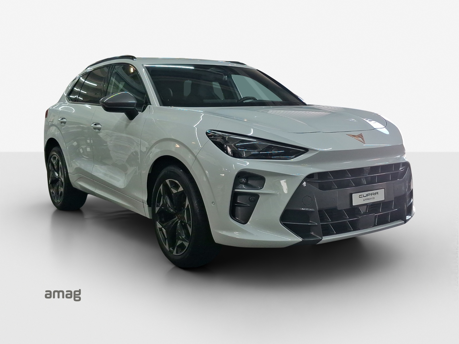 CUPRA Terramar 2.0 TSI DSG 4Drive VZ-image-6