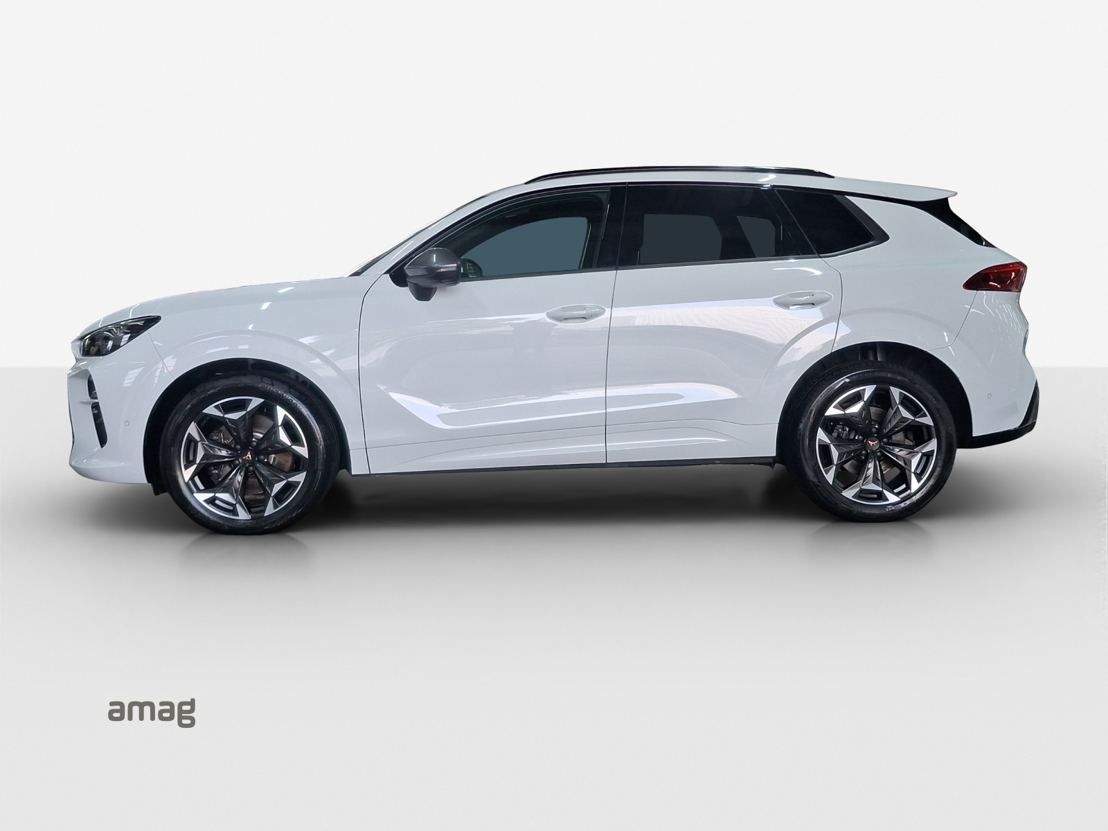 CUPRA Terramar 2.0 TSI DSG 4Drive VZ-image-1