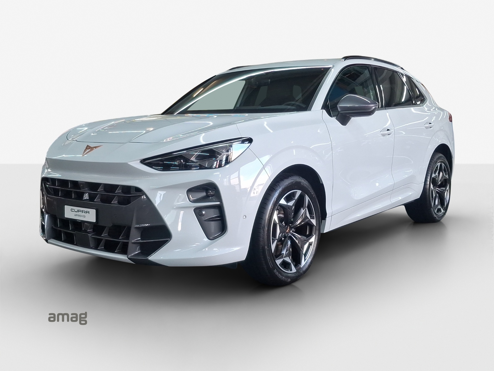 CUPRA Terramar 2.0 TSI DSG 4Drive VZ-image-0
