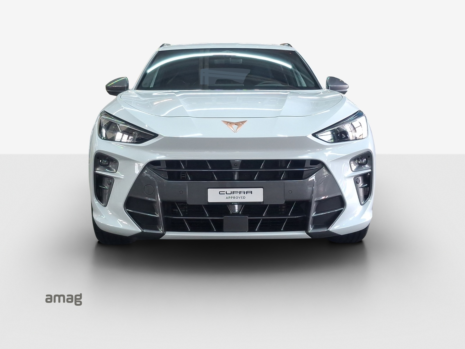 CUPRA Terramar 2.0 TSI DSG 4Drive VZ-image-5