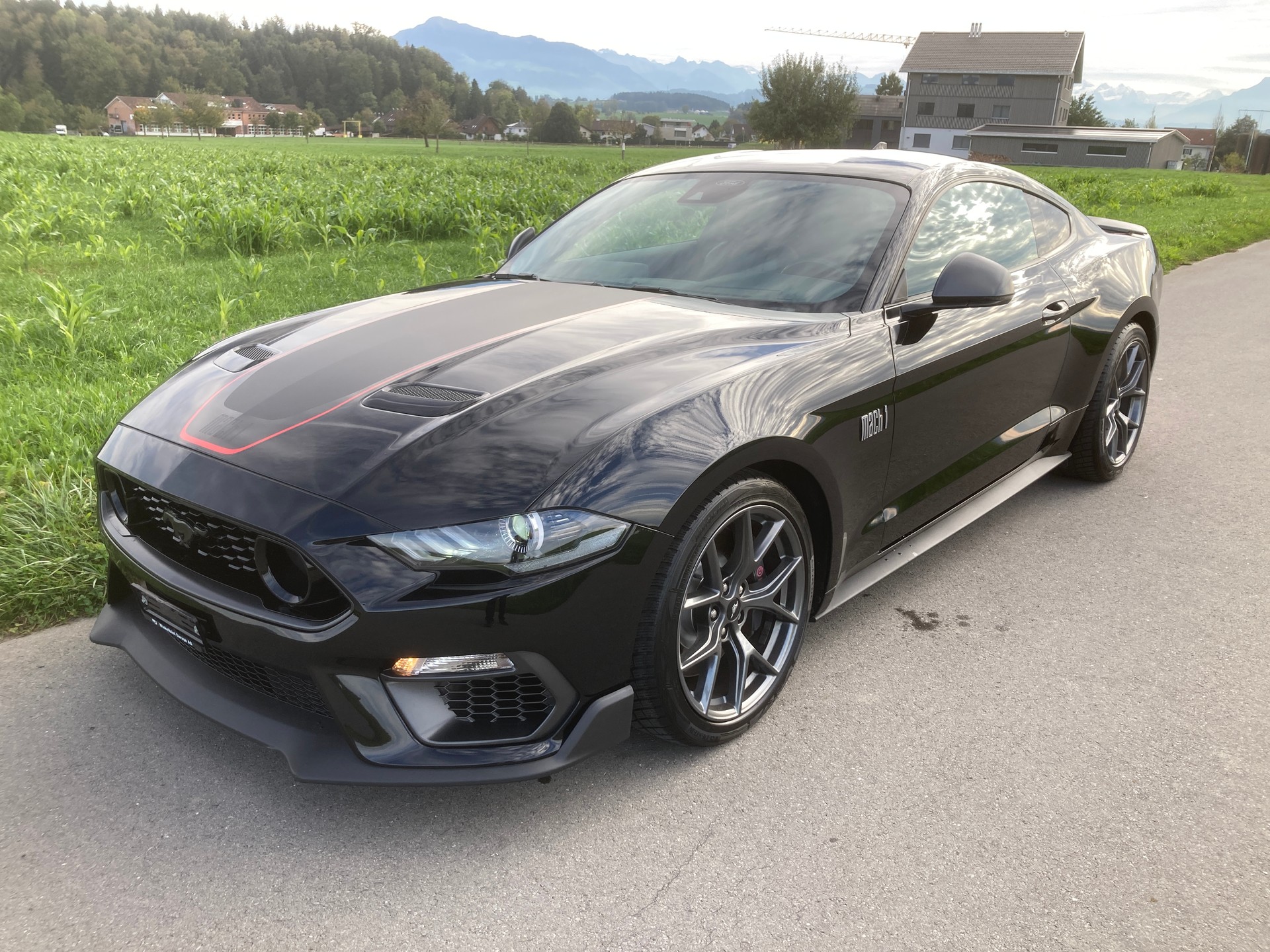 FORD Mustang Fastback 5.0 V8 Mach 1 Automat-image-0