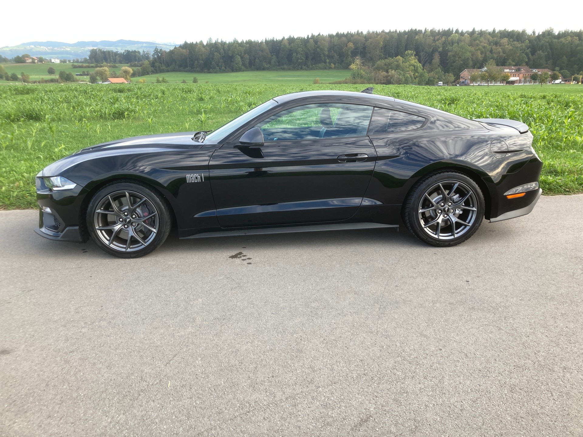 FORD Mustang Fastback 5.0 V8 Mach 1 Automat-image-4