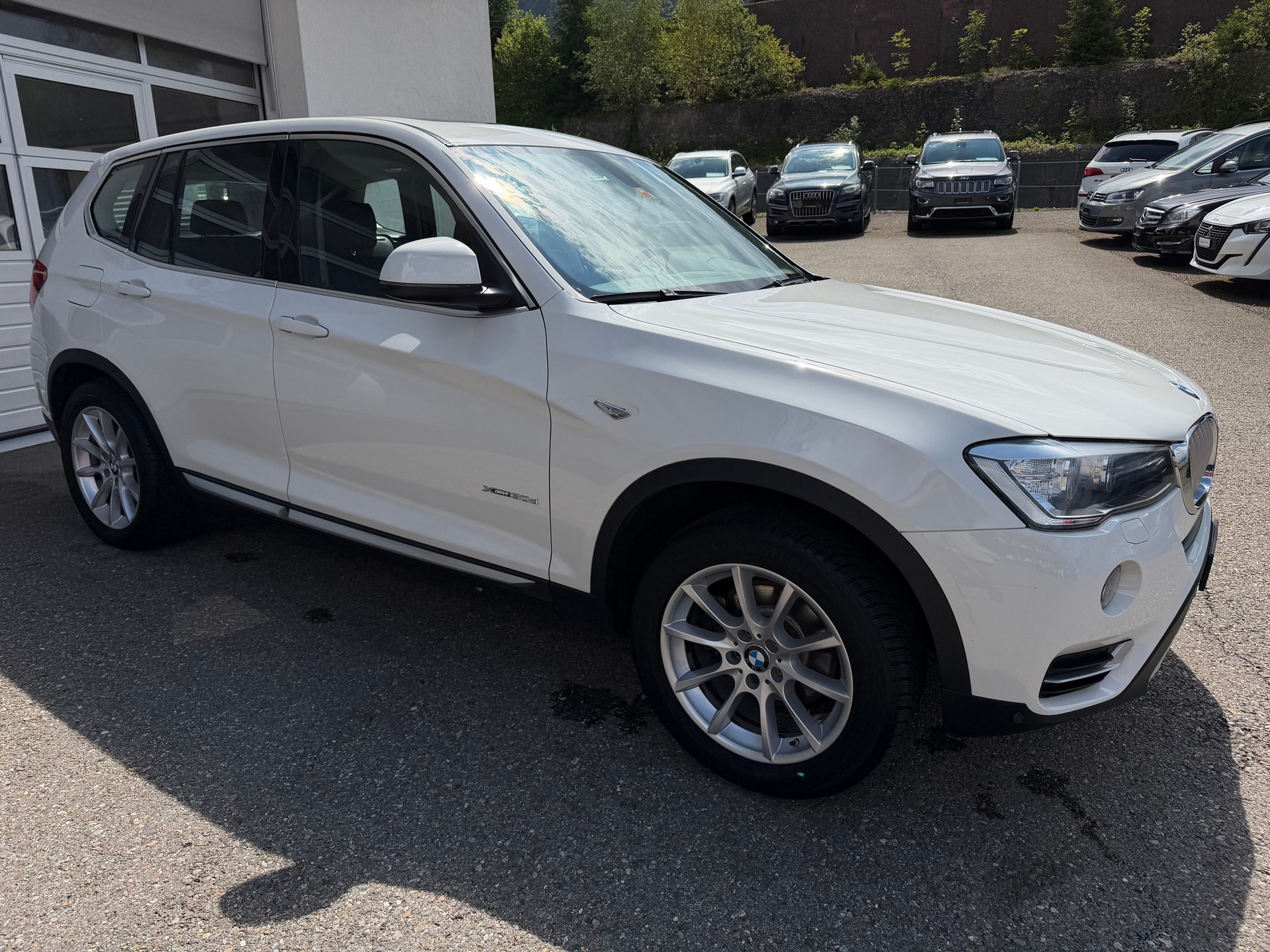 BMW X3 xDrive 30d xLine Steptronic-showroom-element-3