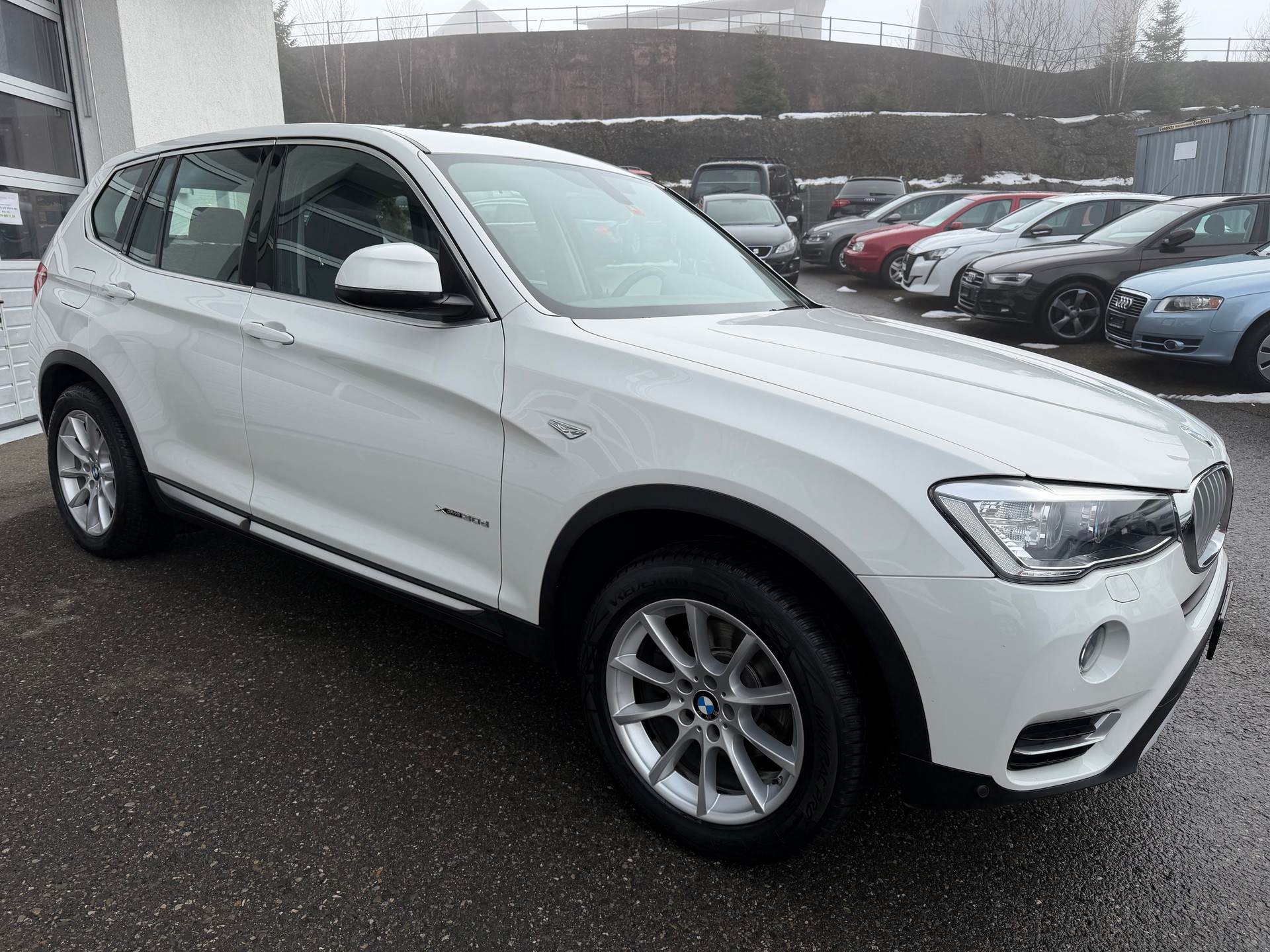 BMW X3 xDrive 30d xLine Steptronic-showroom-element-3