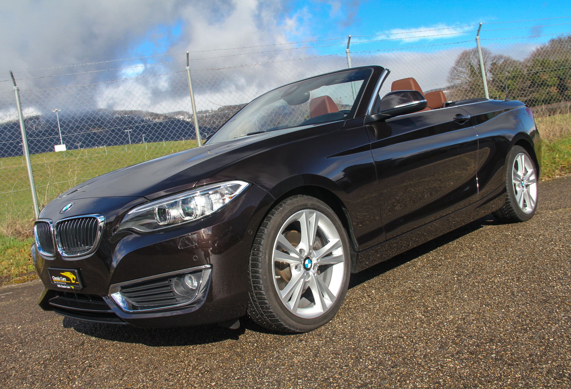 BMW 220i Luxury Line Steptronic 🇩🇪 ⭐⭐⭐⭐⭐-image-20