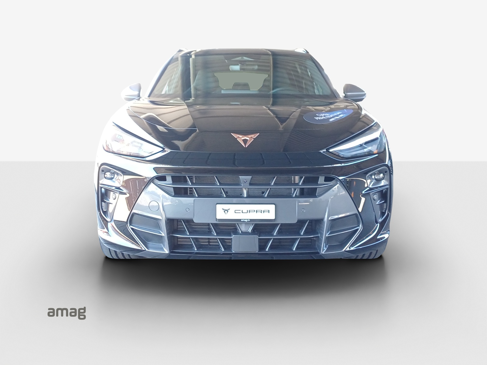 CUPRA TERRAMAR 4DRIVE PRIME EDITION-image-6