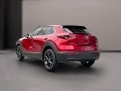 Image MAZDA CX-30 CX-30 SKYACTIV-G 140 M Hybrid Homura FWD AT