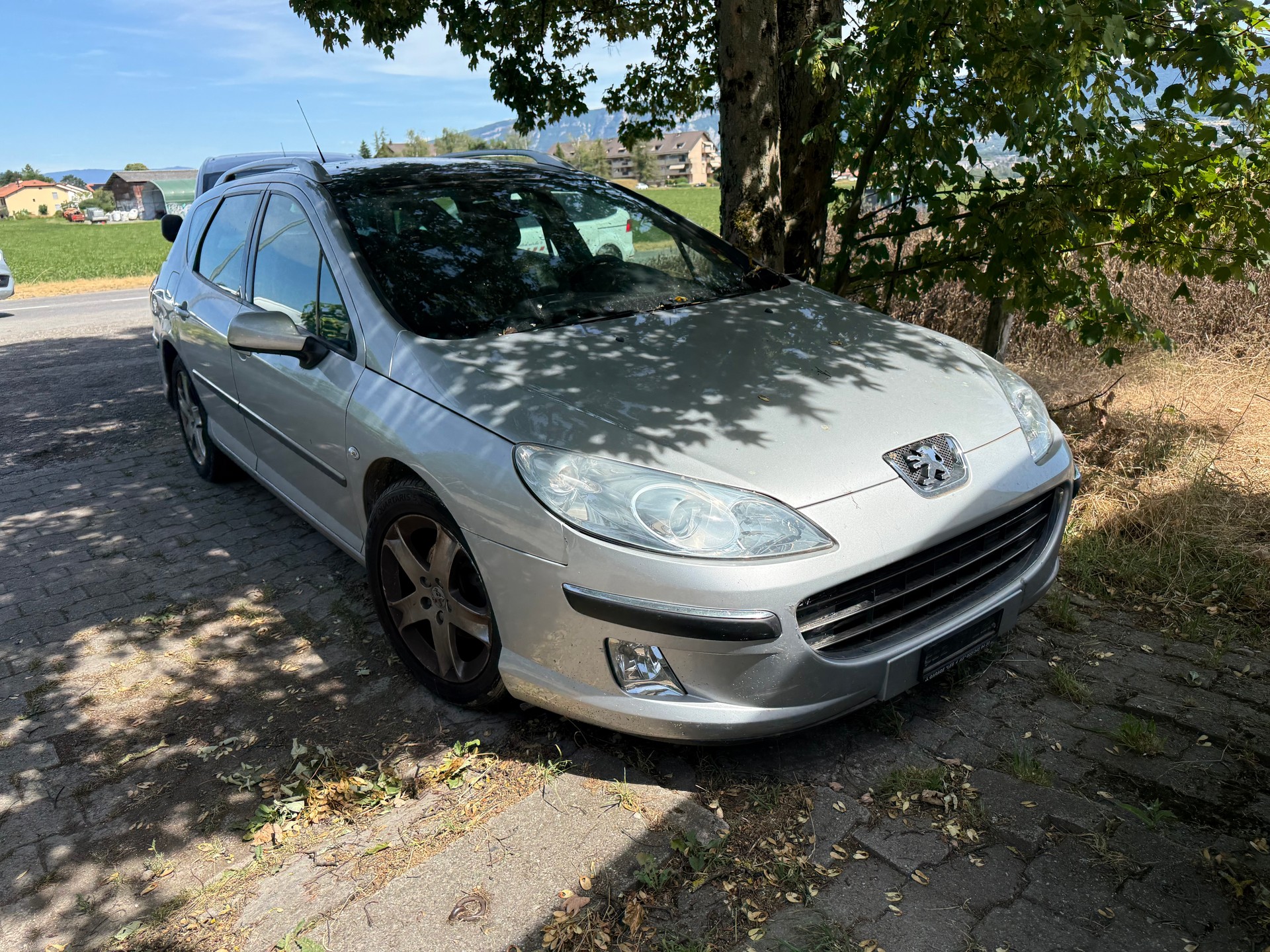 PEUGEOT 407 SW 2.0 HDI SV Executive-image-1