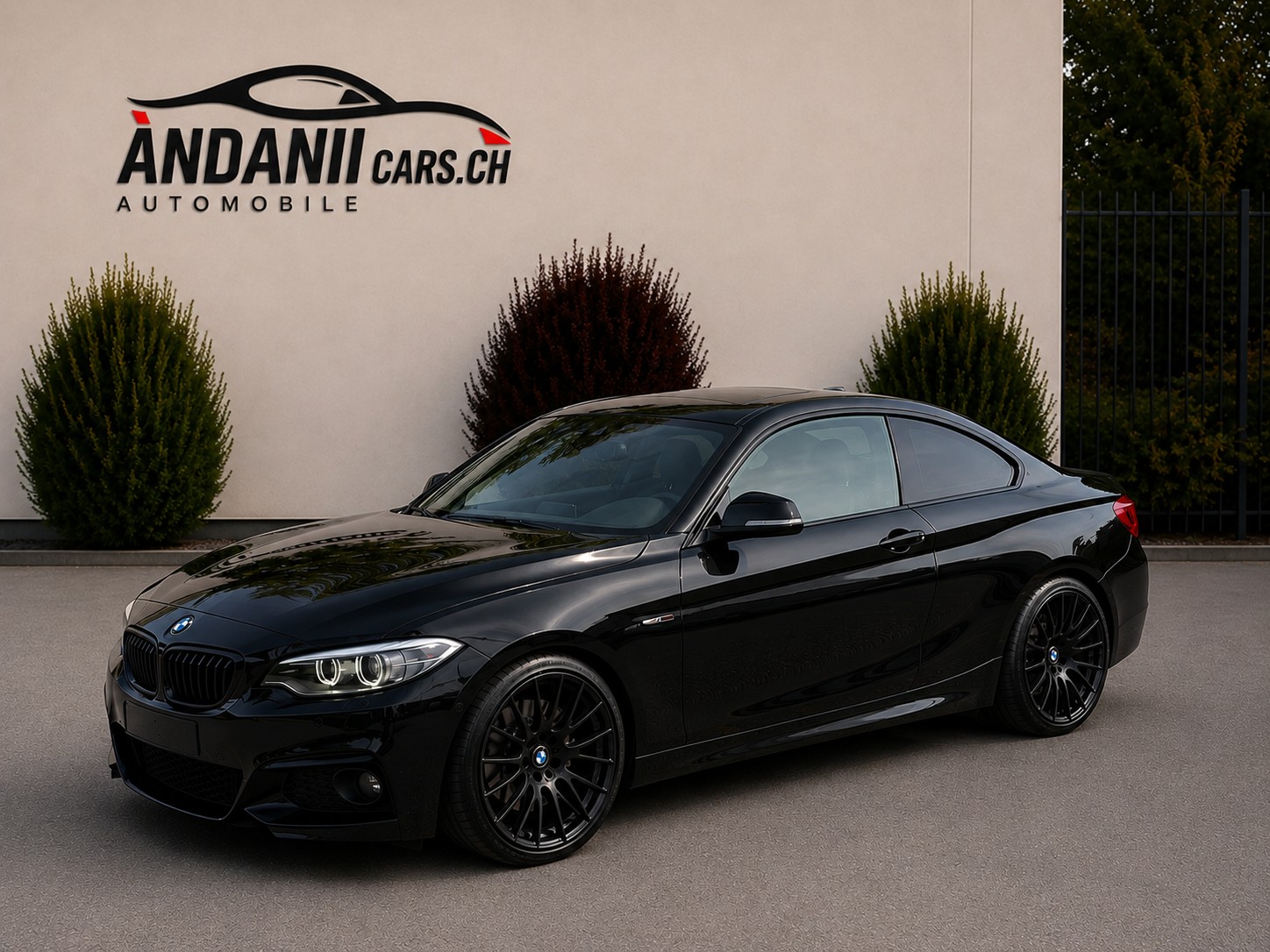 BMW 218i M Sport Steptronic