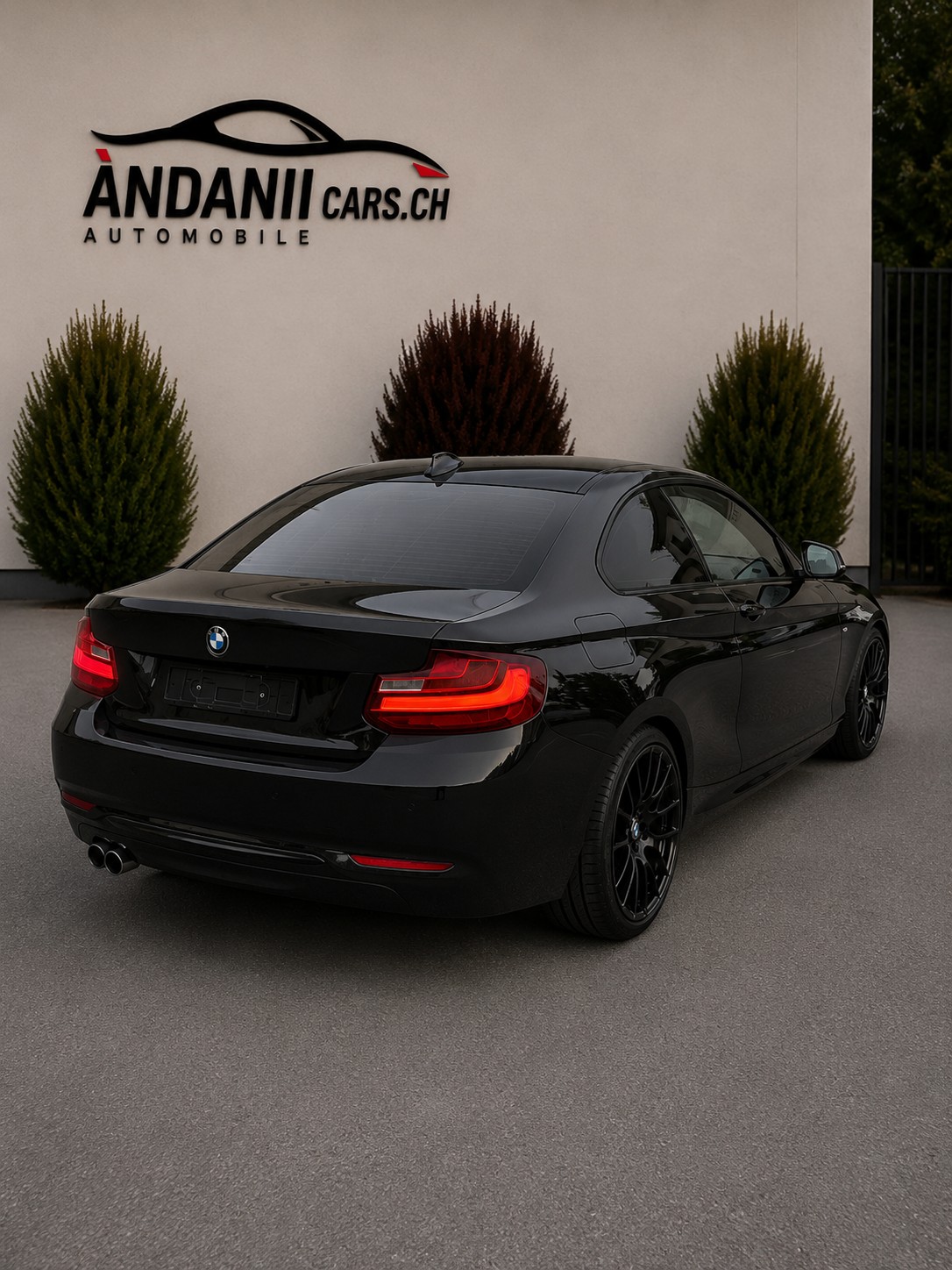 BMW 218i M Sport Steptronic-image-2