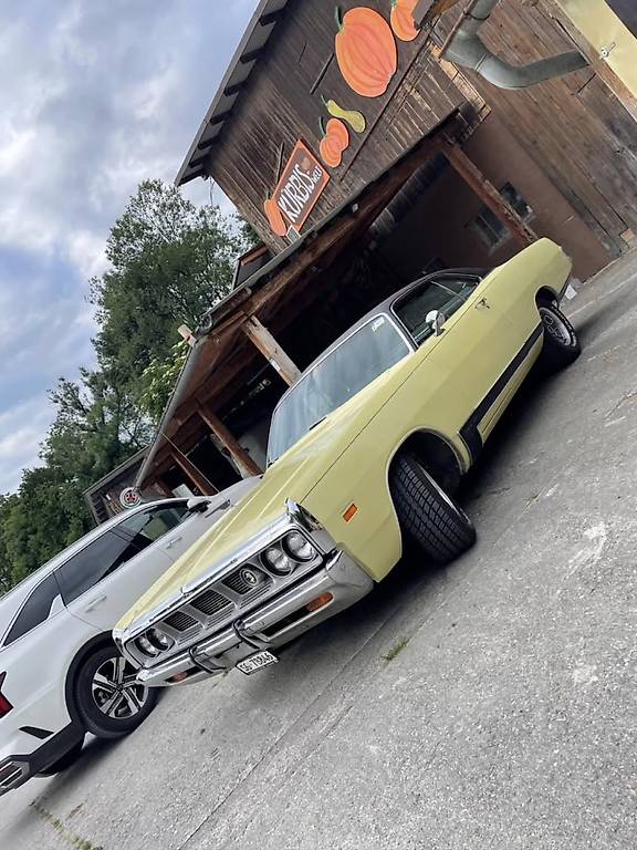 DODGE POLARA-image-0