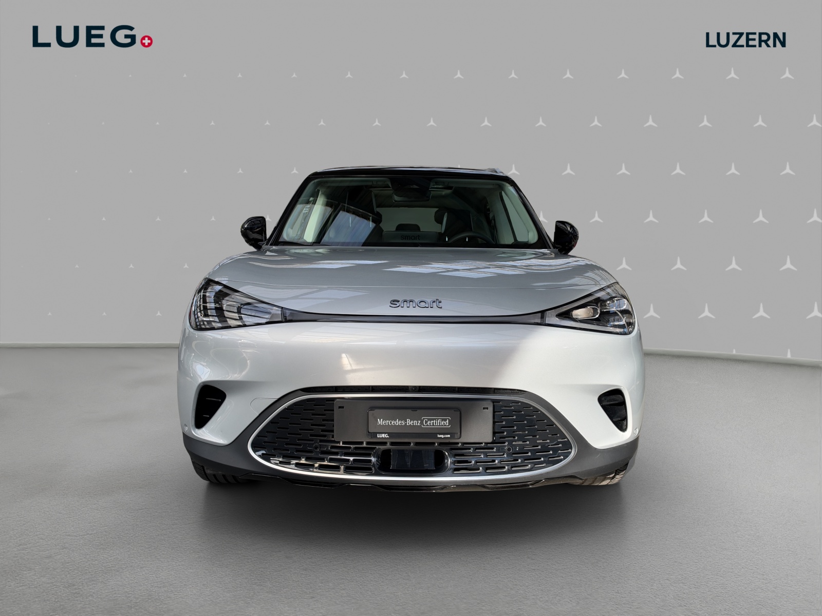 SMART #1 66kWh Premium-image-5